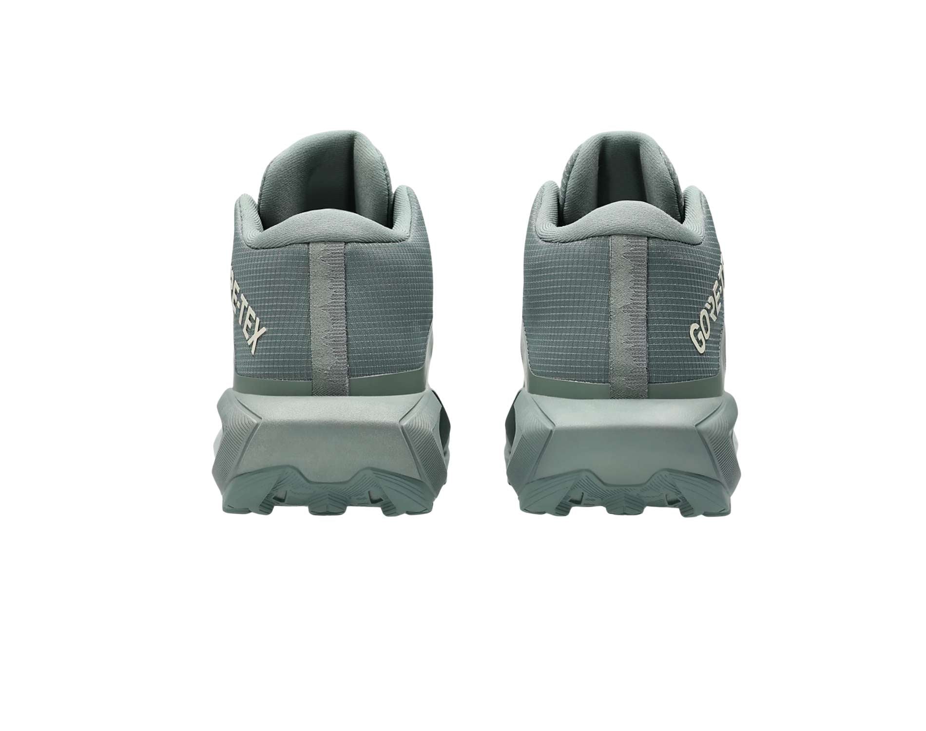 Scarpe da trail running Asics GEL-Trabuco MT GTX da donna